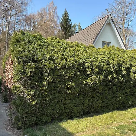 펜션 Haus Kranich -direkt Am Pur- *