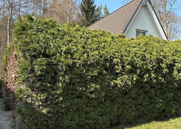 Semesterbostad Haus Kranich -direkt Am Pur- *